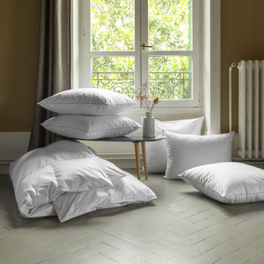 Mont Blanc duck down winter duvet