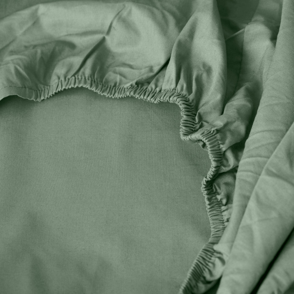 NEO thym fitted sheet percale cotton