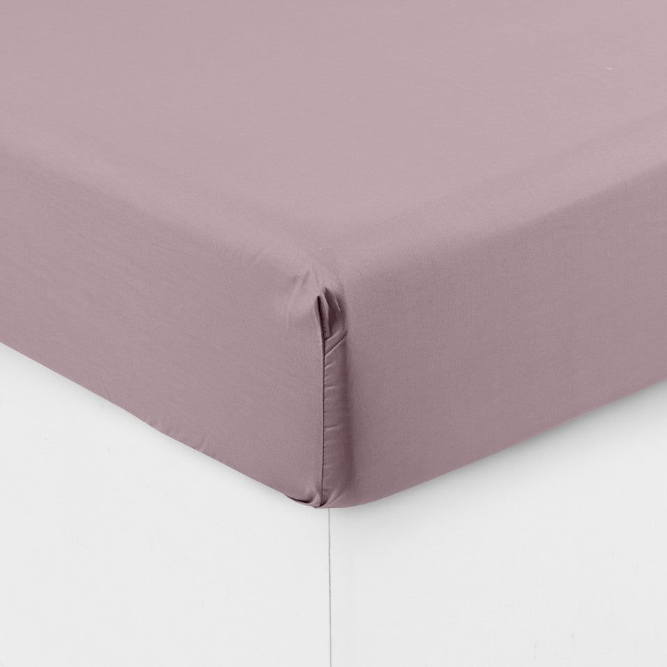 NEO poudre fitted sheet percale cotton