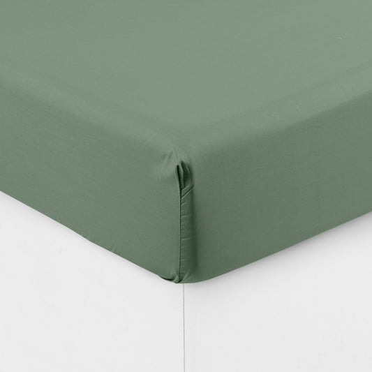 NEO thym fitted sheet percale cotton