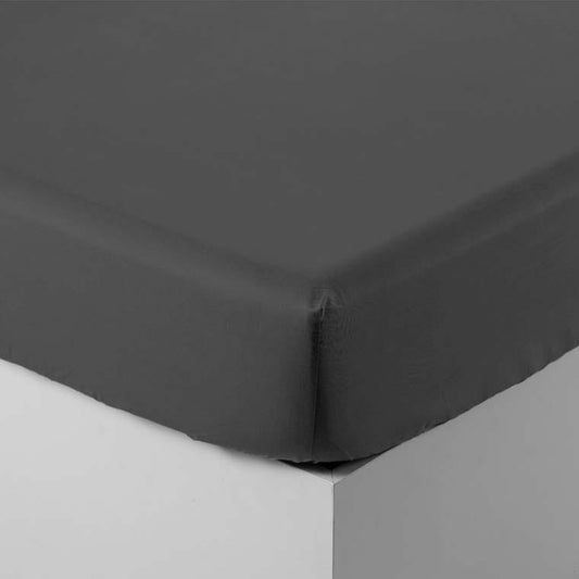 NEO anthracite fitted sheet percale cotton